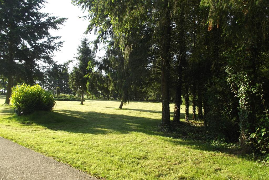 Les Vedieres Conflans-sur-Anille Bagian luar foto